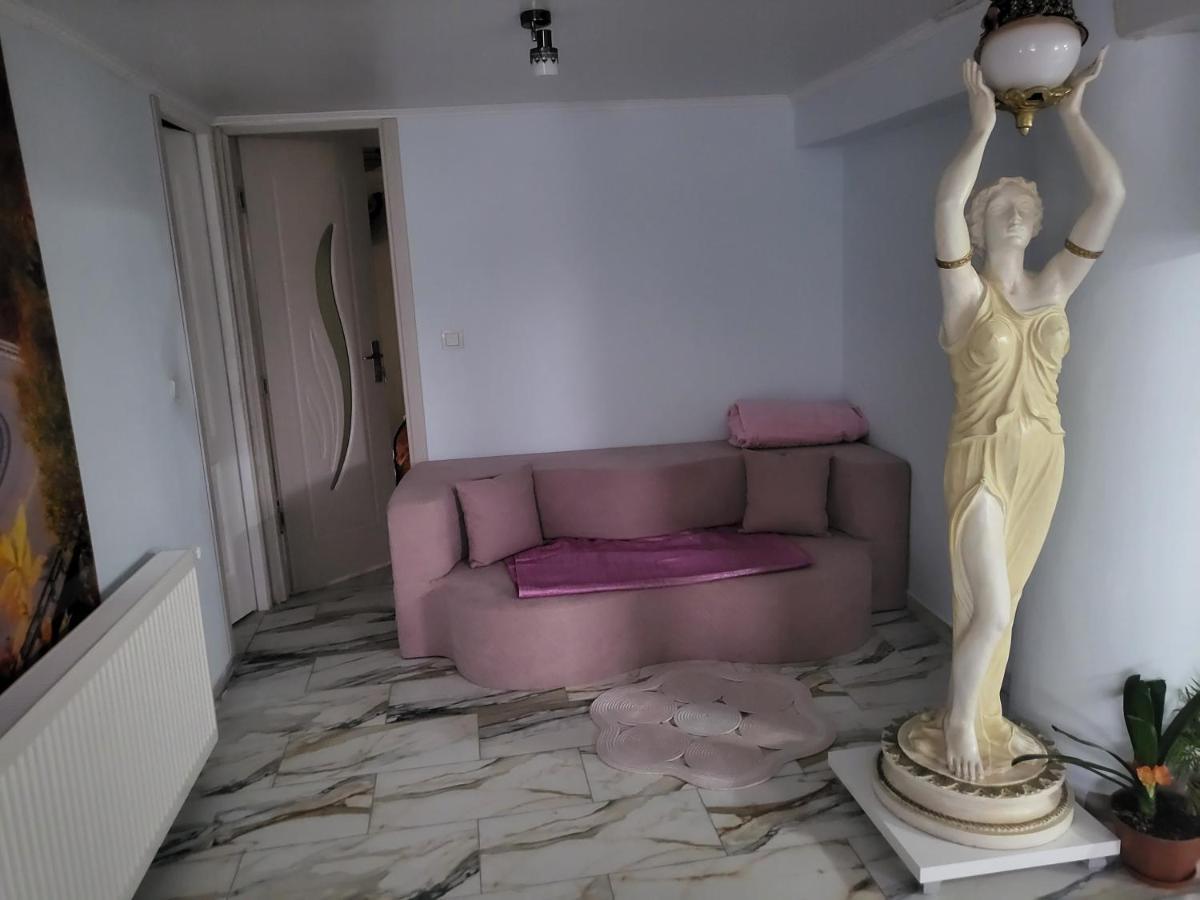 Apartament Cu Terasa Si Gratar Apartment Satu Mare Bagian luar foto